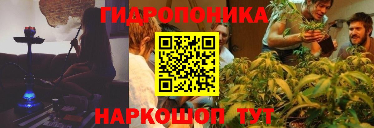 Каннабис Amnesia Туймазы